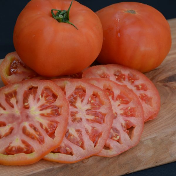 Tomato Beefmaster Beefsteak 3.25"