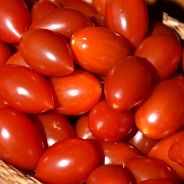 Tomato Juliet 3.25"