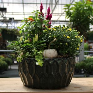 Honeycomb Hit Arrangement in Green (medium)